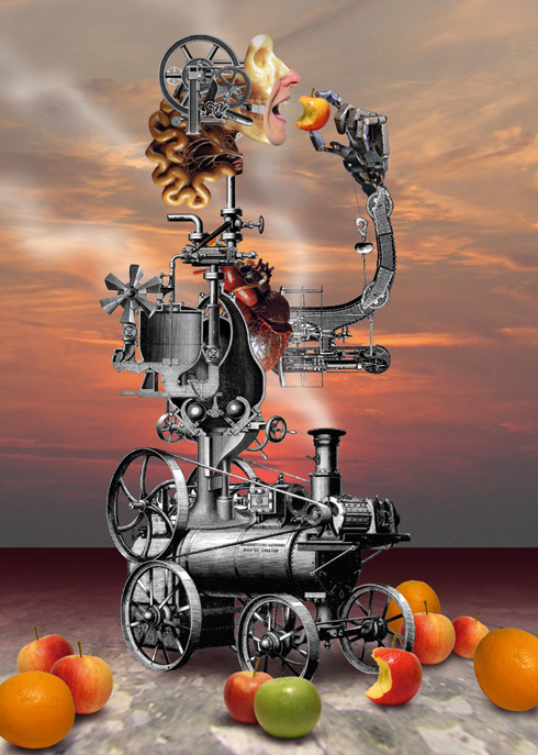 De Kleine Aarde Collage 17