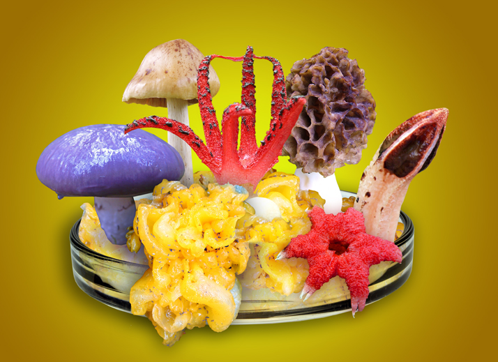 Noordhoff Collage 02