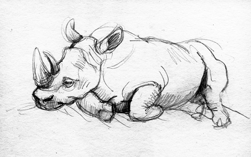 Neushoorn