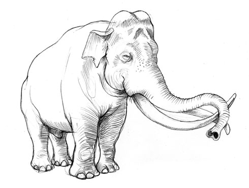 Olifant