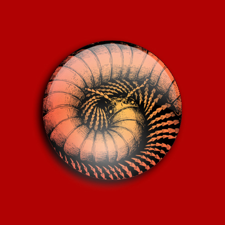 Button - Duizendpoot